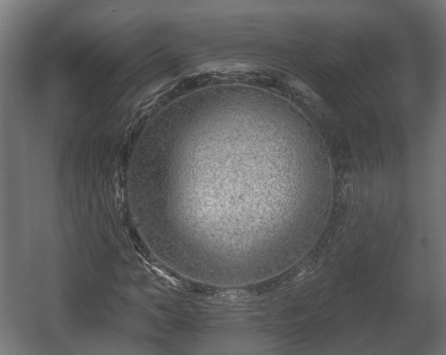 X0000058120966200509261230