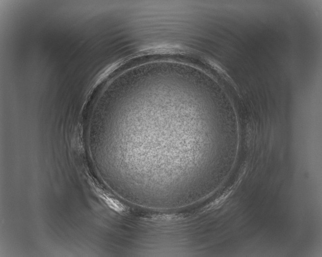 X0000058120970200509261230