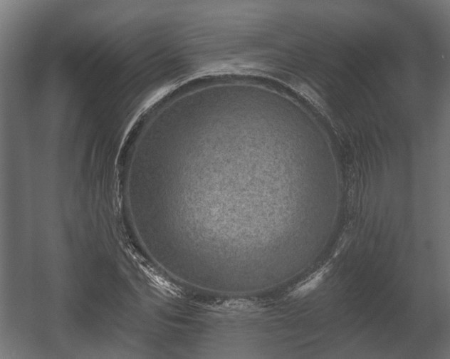 X0000058120974200509261230