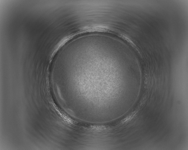 X0000058120978200509261230
