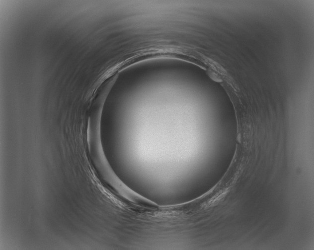 X0000058120985200509261229