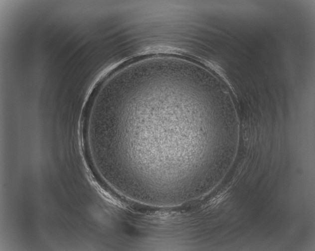 X0000058120987200509261229