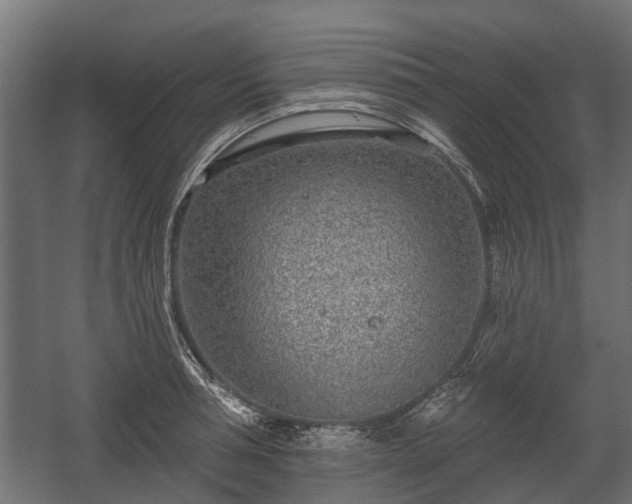 X0000058120994200509261229