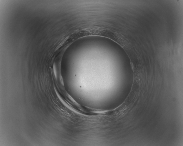 X0000058121010200509261228