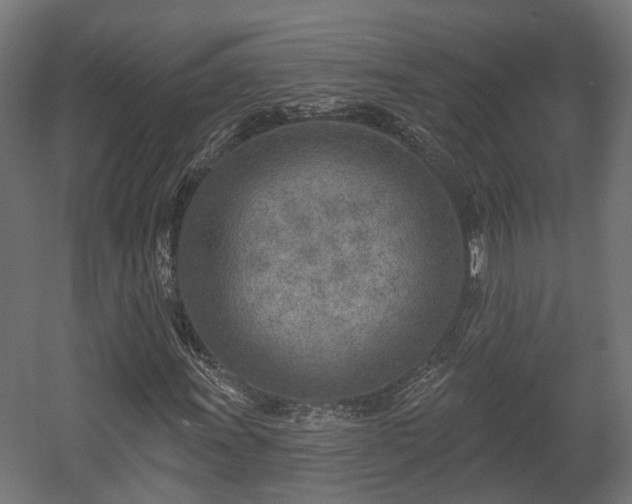 X0000058121011200509261228