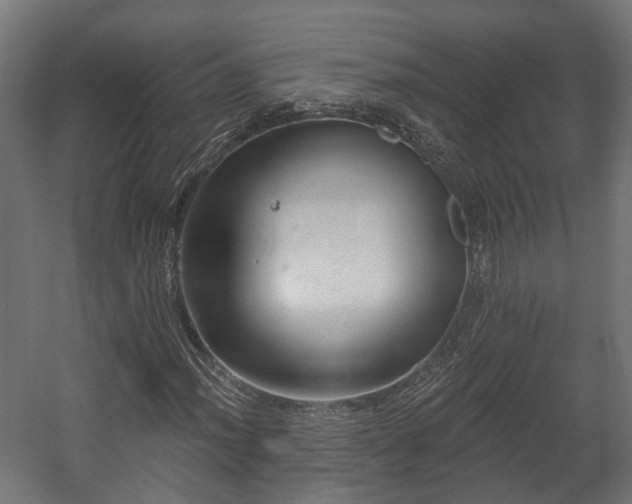 X0000058121012200509261228
