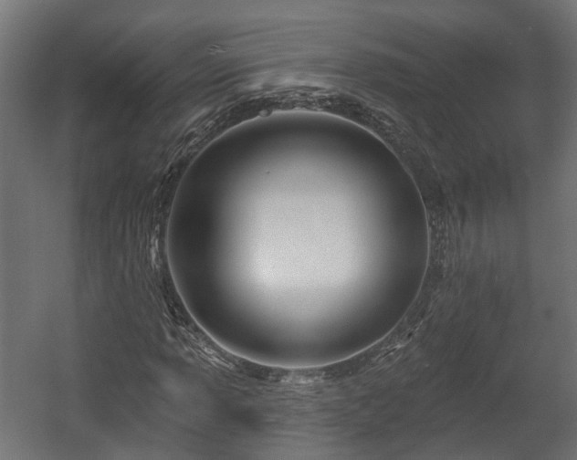X0000058121013200509261228