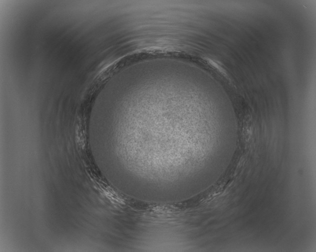X0000058121015200509261228