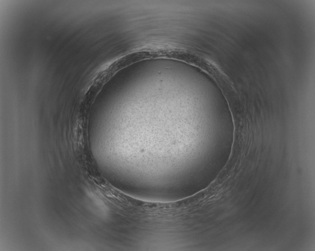 X0000058121016200509261228