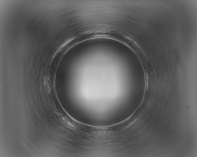 X0000058121018200509261228