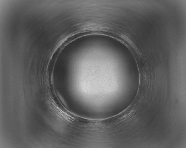 X0000058121023200509261228