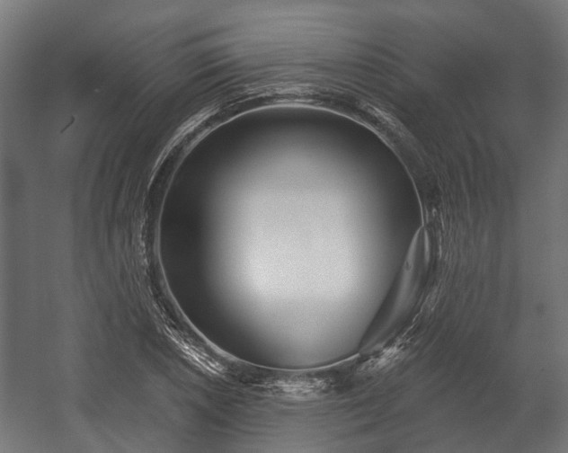 X0000058121026200509261228