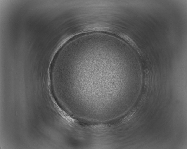 X0000058121031200509261229
