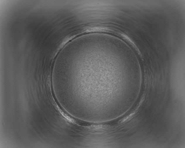 X0000058121041200509261229
