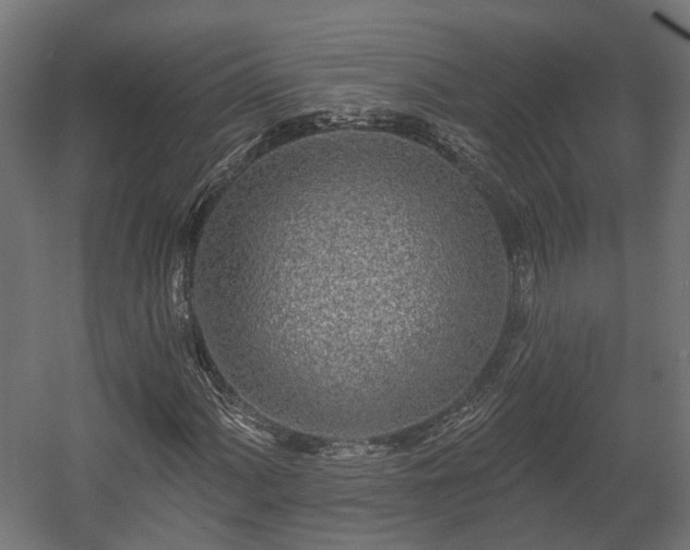 X0000058121060200509261228