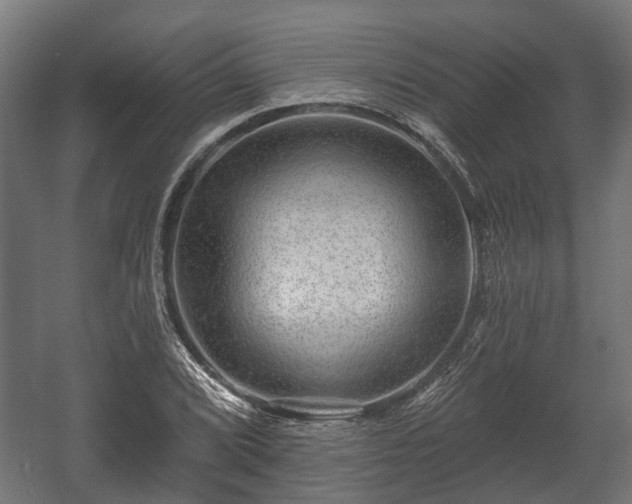 X0000058121072200509261228