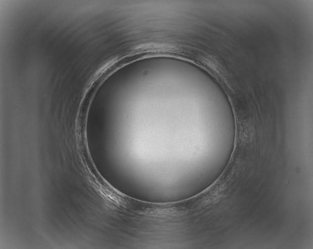 X0000058121074200509261228