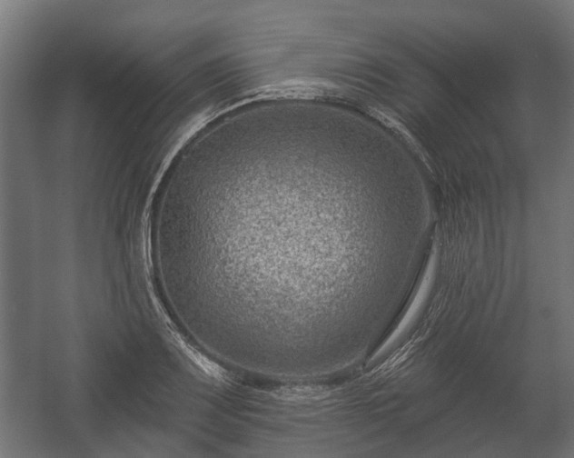 X0000058121083200509261228