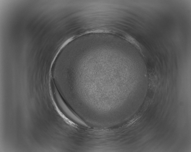 X0000058121095200509261228