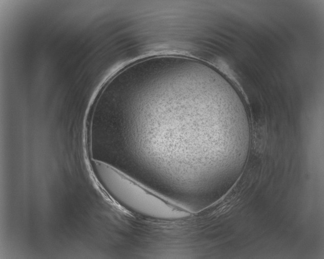 X0000058121096200509261228