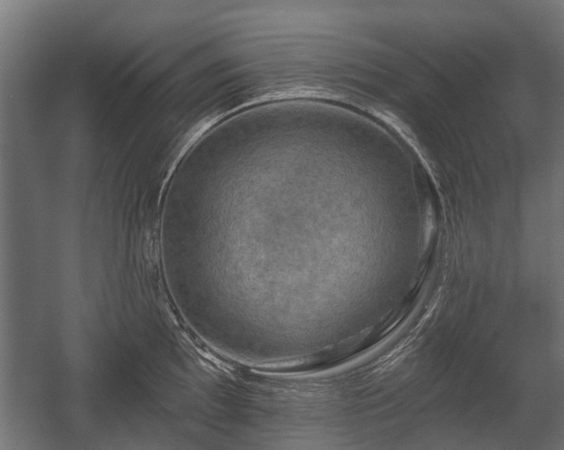X0000058121097200509261227