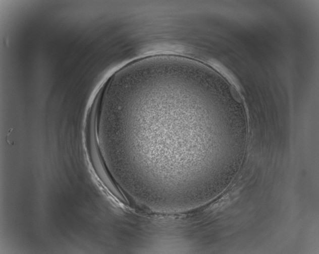 X0000058121104200509261227