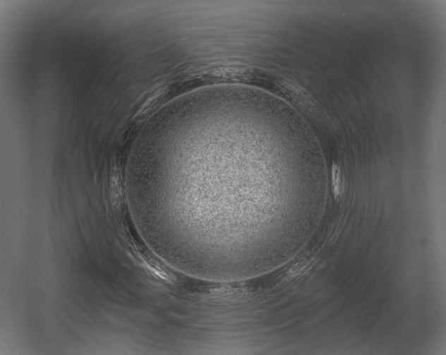 X0000058121107200509261227