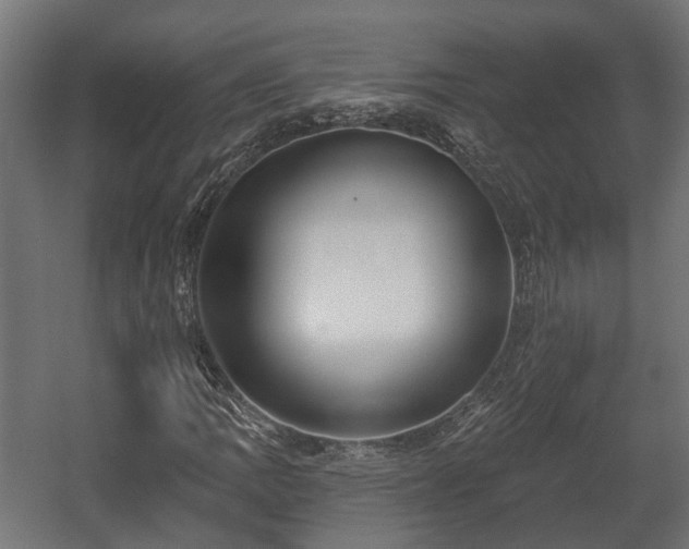 X0000058121109200509261227