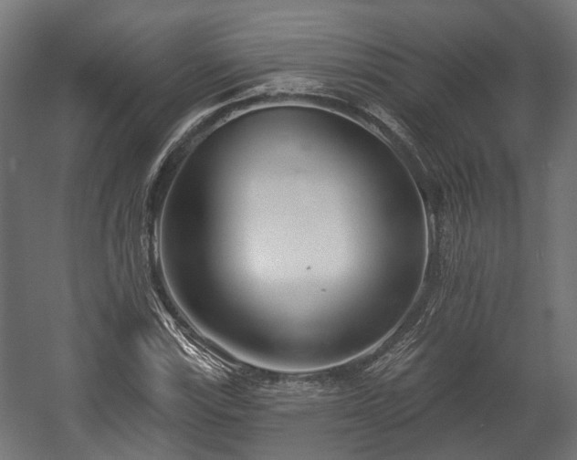X0000058121115200509261227
