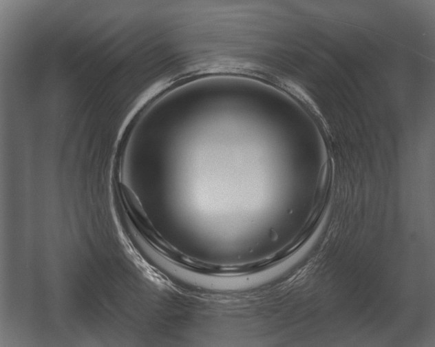 X0000058121138200509261227