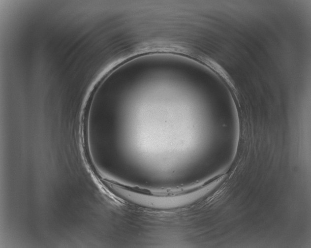 X0000058121144200509261227