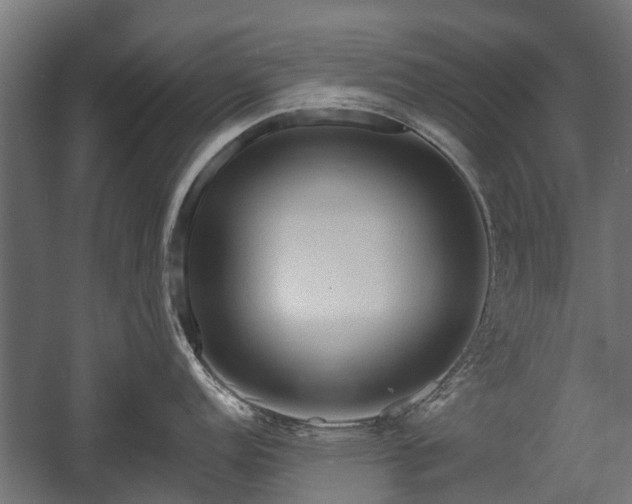 X0000058121152200509261227
