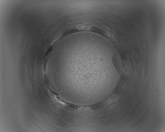 X0000058121154200509261227