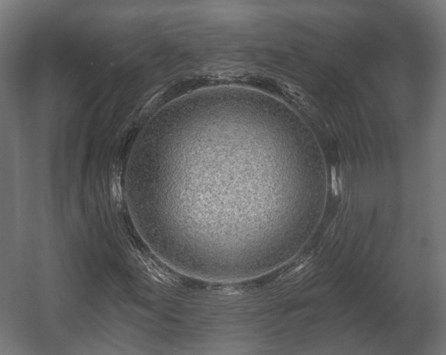 X0000058121155200509261227
