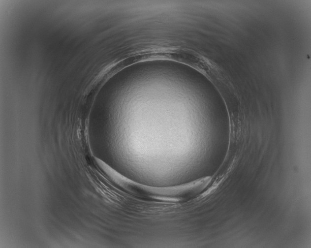 X0000058121161200509261226