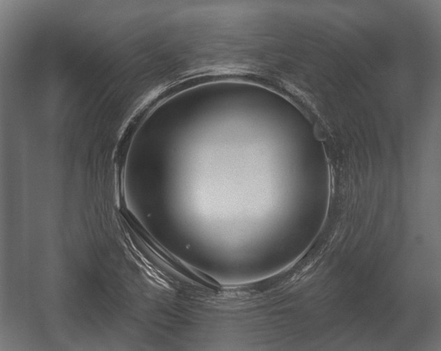 X0000058121171200509261226