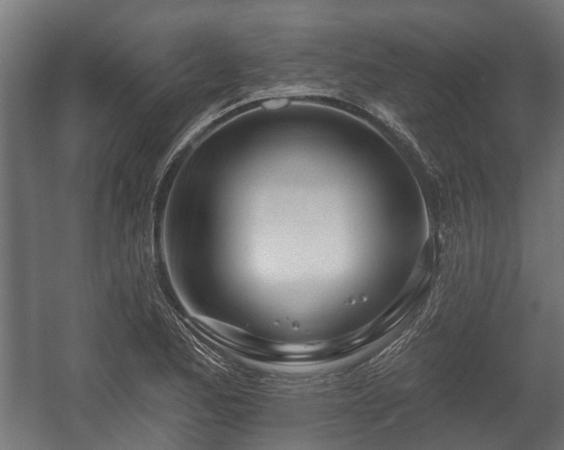 X0000058121173200509261226
