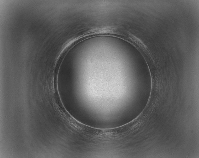 X0000058121174200509261226