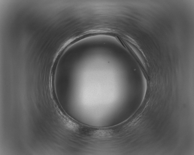 X0000058121179200509261226