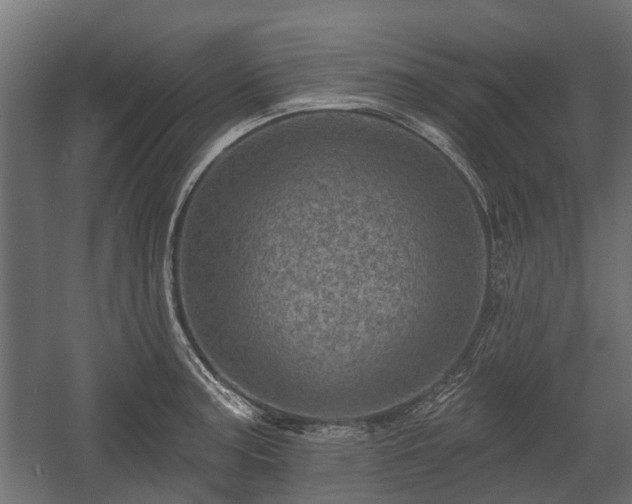 X0000058121187200509261226