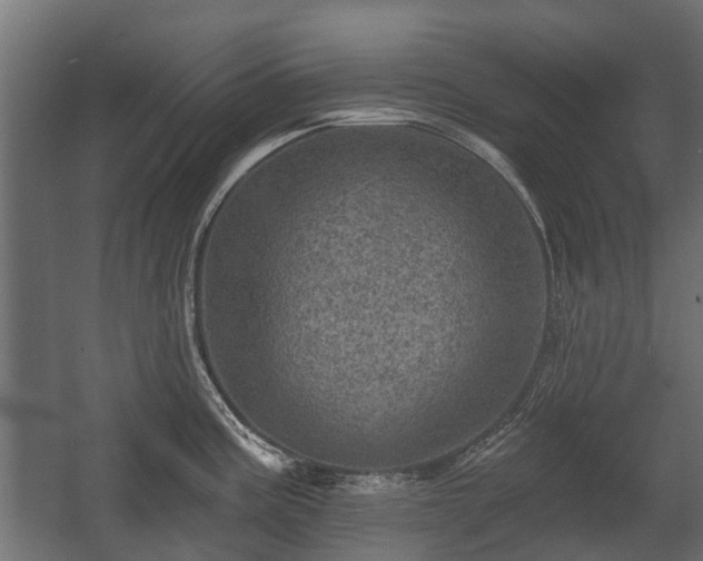 X0000058121195200509261226