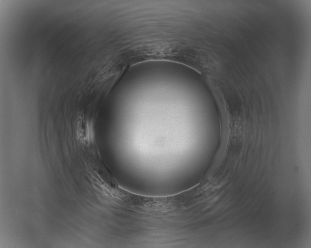 X0000058121202200509261225