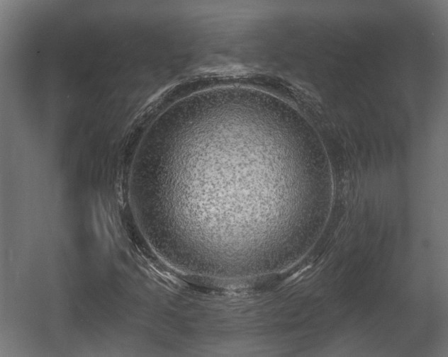 X0000058121205200509261225