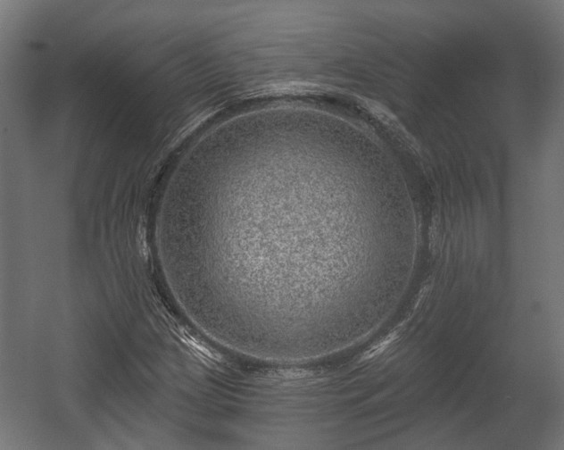 X0000058121209200509261225