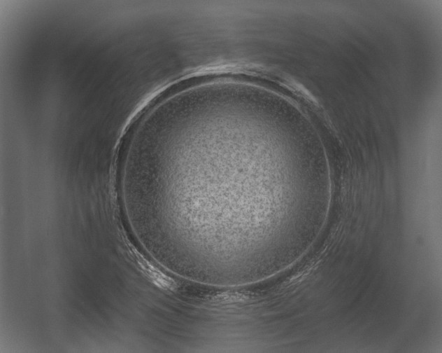 X0000058121216200509261225