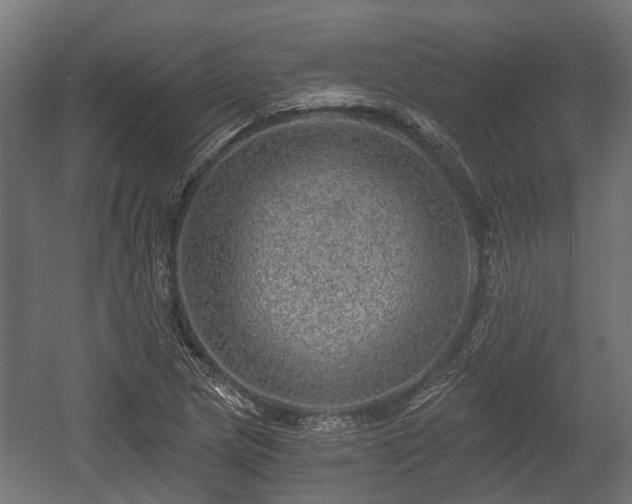 X0000058121217200509261225