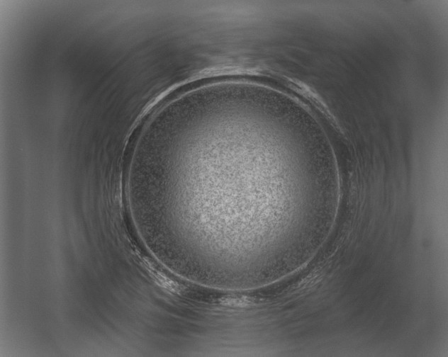 X0000058121220200509261225