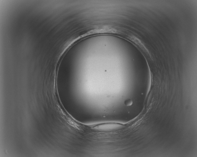 X0000058121228200509261225