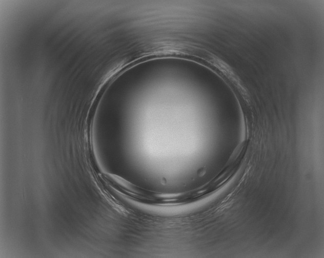 X0000058121234200509261225