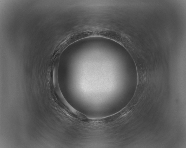 X0000058121253200509261225